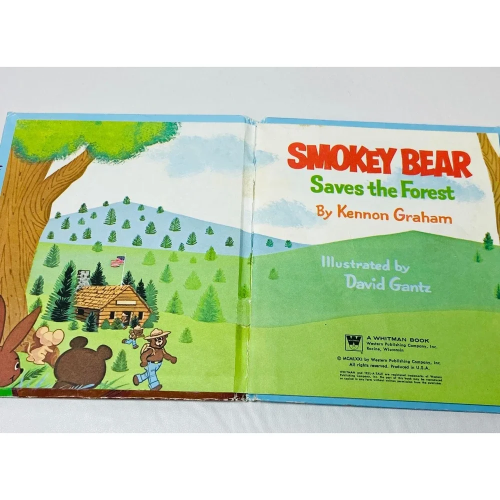 Vintage Smokey the Bear Forest Fire Mascot Lot 1985 Dakin 12